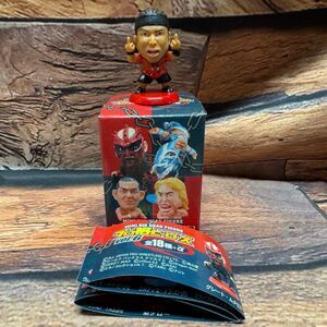 Charapro Brother YASSHI Puroresu Heroes Vol 6 Mini Big Head Figure Dragon Gate